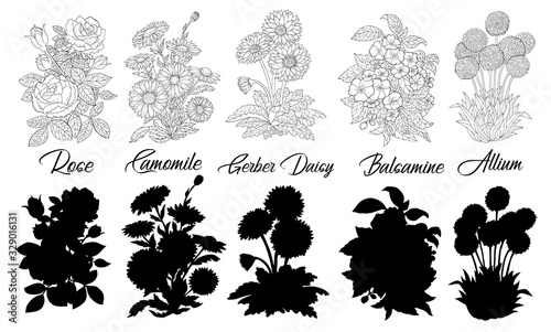 Set of black and white outline flowers - Rose, Camomile, Gerber, Daisy, Balsamine, Allium.