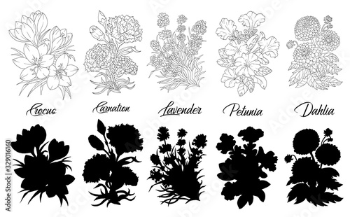 Set of black and white outline flowers - Crocus, Carnation, Lavender, Petunia, Dahlia.