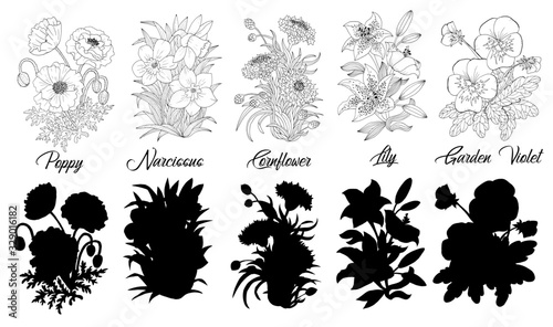 Set of black and white outline flowers - Poppy, Narcissus, Cornflower, Lily, Garden Violet.