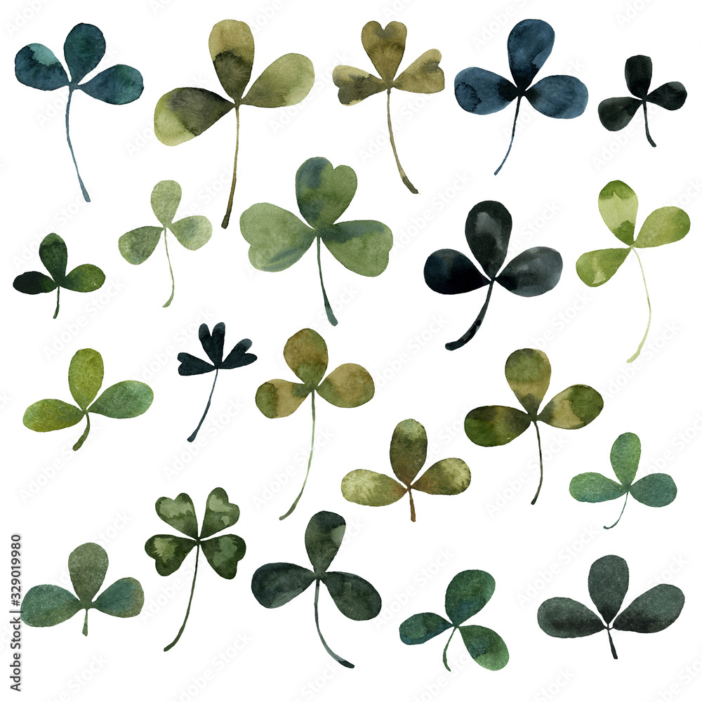 Fototapeta premium clover plants leaves, botanical watercolor illustration, set