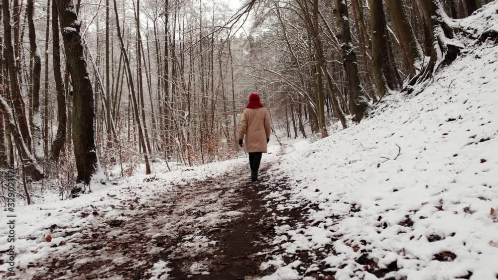 Back view of adult woman walk in winter forest. Camera follow behind, low angle view. Snowy nature landscape. Activity relax on fresh air concept