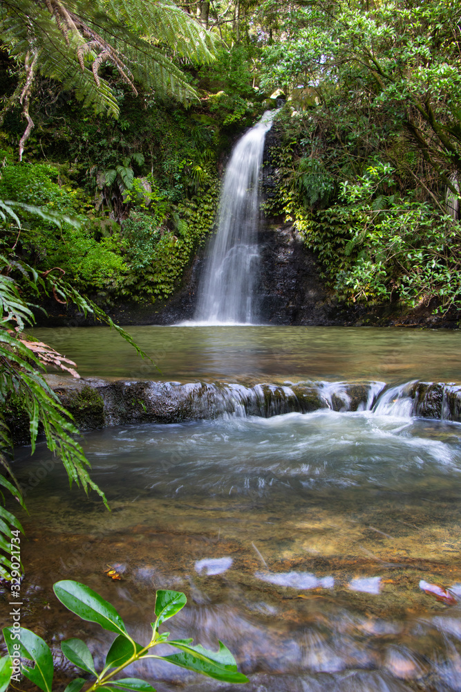 Fototapeta premium Waterfall in the forest