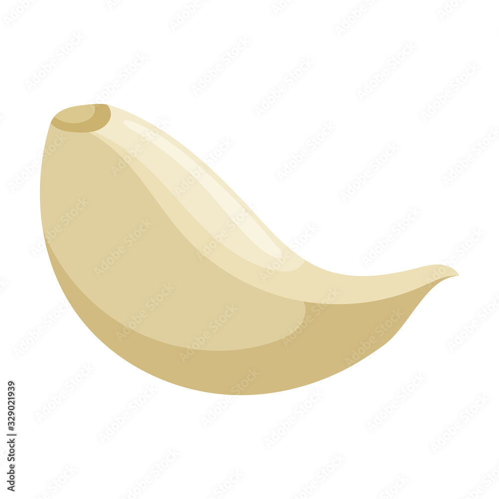 Clove of garlic vector icon.Cartoon vector icon isolated on white background clove of garlic . Clove of garlic vector icon.Cartoon vector icon isolated on white background clove of garlic .