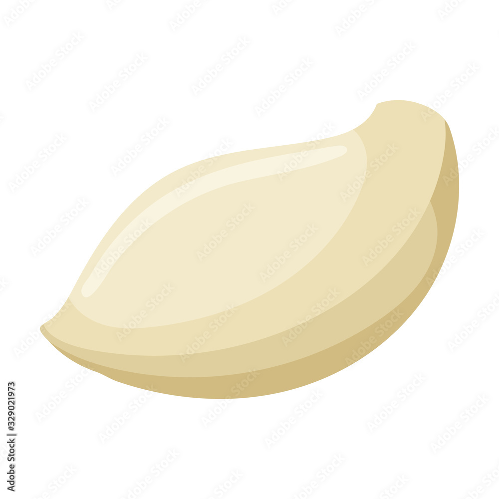 Clove of garlic vector icon.Cartoon vector icon isolated on white background clove of garlic . Clove of garlic vector icon.Cartoon vector icon isolated on white background clove of garlic .