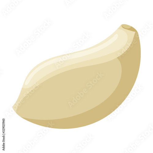 Clove of garlic vector icon.Cartoon vector icon isolated on white background clove of garlic .