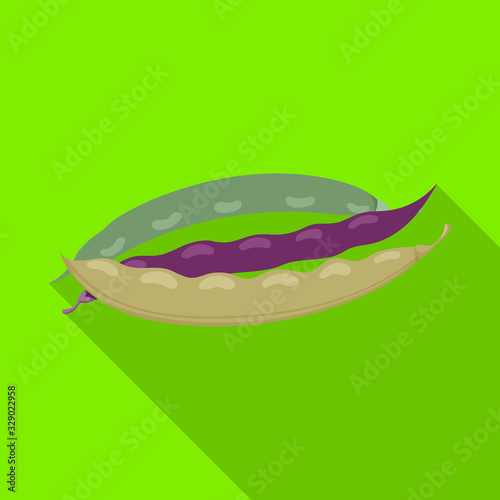 Bean of pod vector icon.Flat vector icon isolated on white background bean of pod.