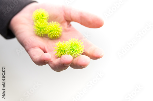 hand of boy with green (plastic) Coronavirus bacteria on white backgrond