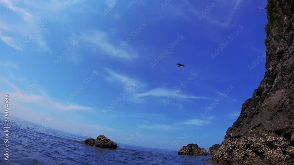 A heron bird flies out of a Cave in a cliff seen from water perspective. A heron bird flies out of a Cave in a cliff seen from water perspective.