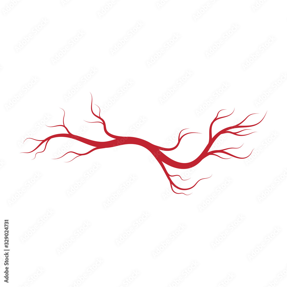Human veins and arteries illustration design Human veins and arteries illustration design