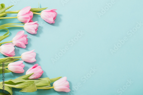 Fototapeta Naklejka Na Ścianę i Meble -  beautiful pink tulips on blue mint background