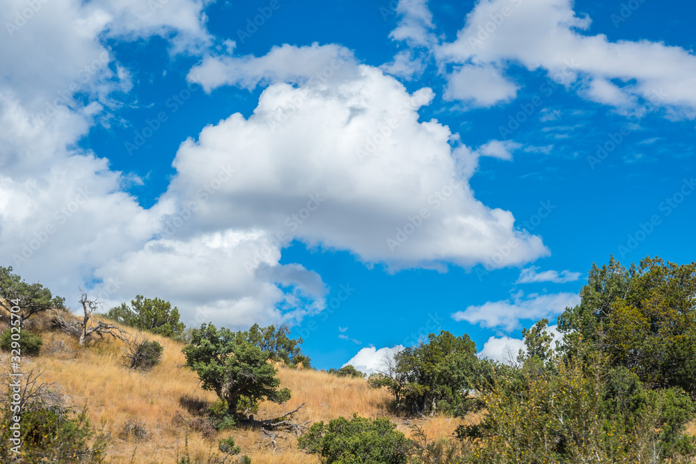 A beautiful overlooking view of nature in Benson, Arizona A beautiful overlooking view of nature in Benson, Arizona
