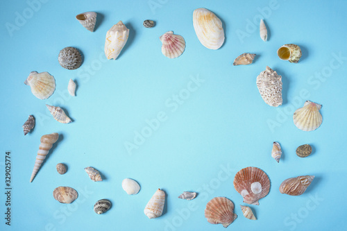 Beautiful seashells of different shapes on the blue background