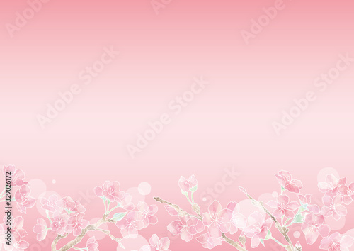 満開の桜の花フレーム12/イラスト素材/背景素材