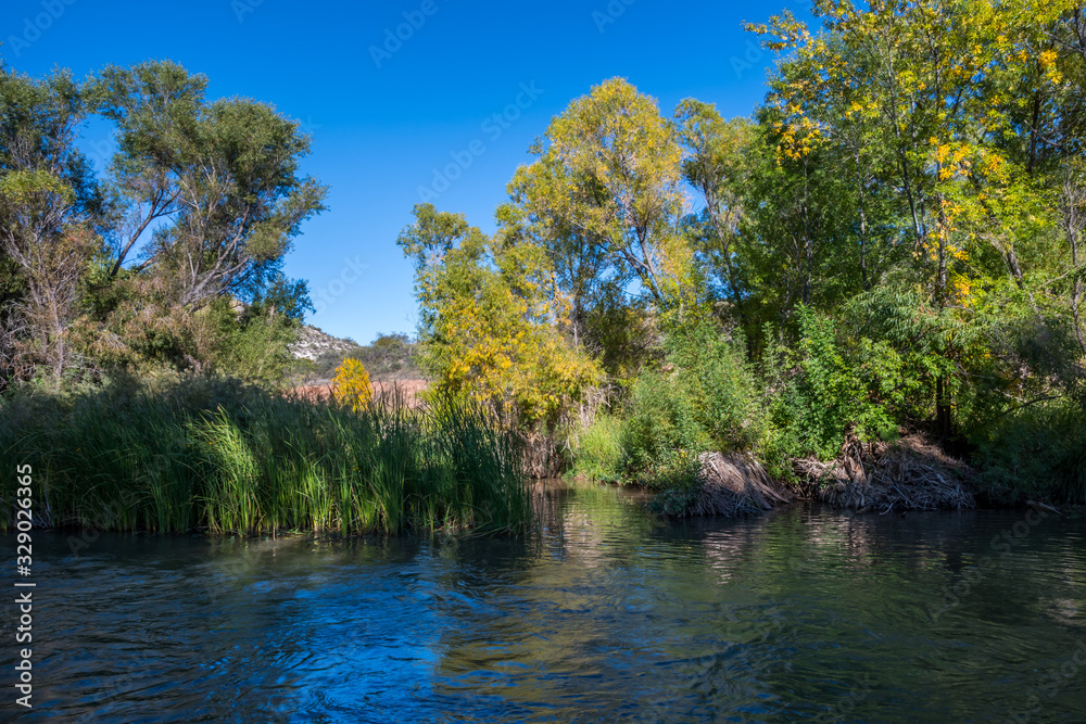 A narrow stream of water in Prescott National Forest, Arizona A narrow stream of water in Prescott National Forest, Arizona
