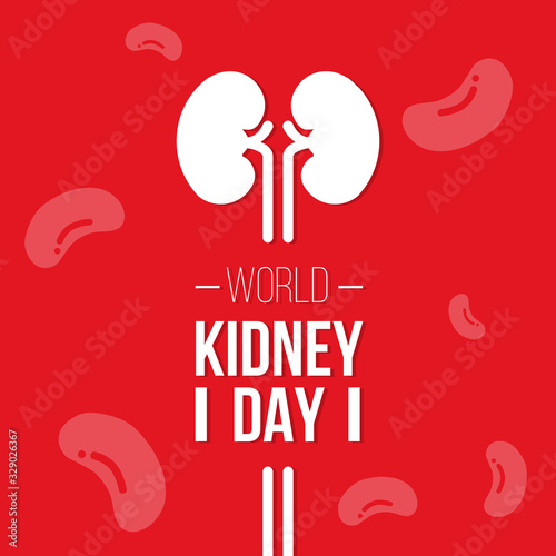 Illustration of world kidney day concept poster, banner, background. The national kidney month vector illustration. Abstract illustration for prevention of kidney diseases. Urogenital system. 