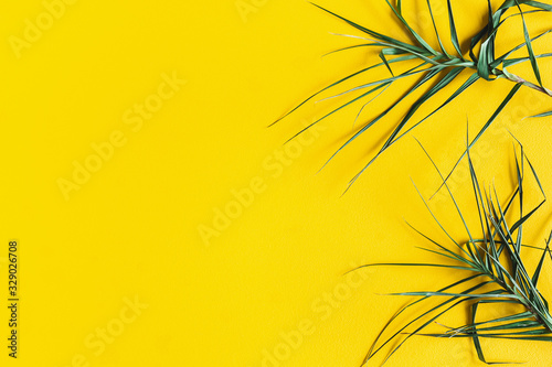 Summer composition. Tropical leaf on yellow background. Summer concept. Flat lay  top view