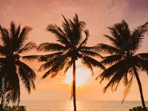 Coconut Tree Sunset Beach Vacation Outdoor Summer holiday Background