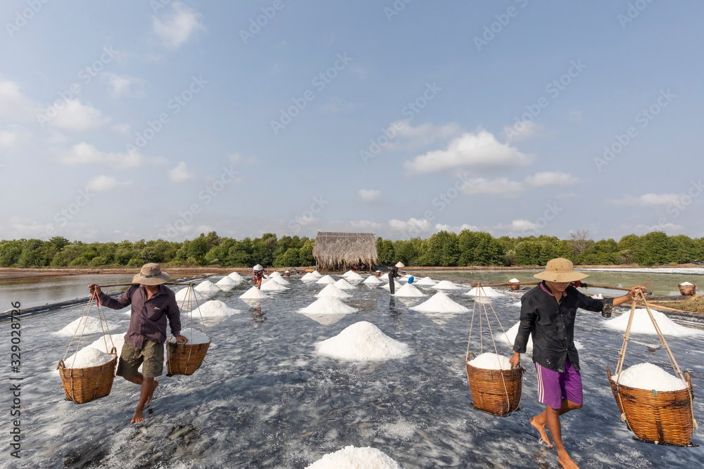 workers harvesting salt and carrying baskets at the Salt plains at Can Gio near Ho Chi Minh City in Vietnam