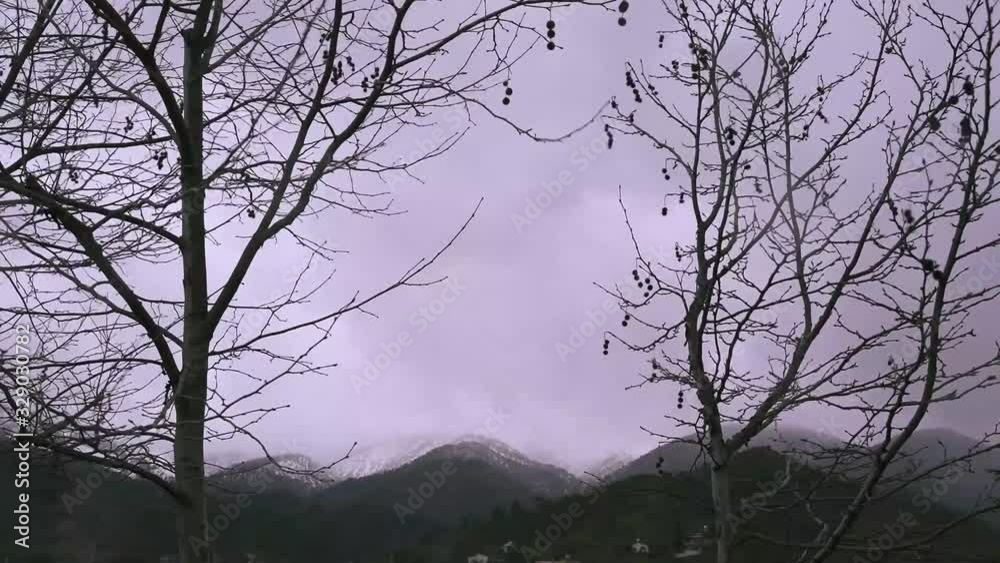 Cyprus village winter timelapse with clouds and trees. Cyprus village winter timelapse with clouds and trees.