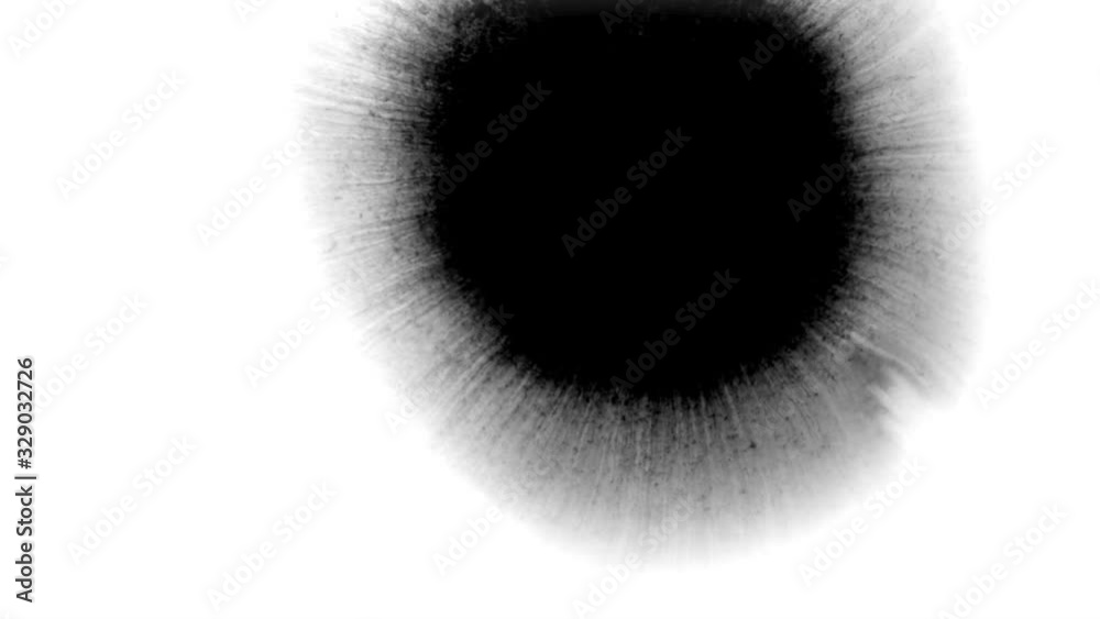 Ink Runs, Blots. Ink in water, Beautiful black watercolor ink drops transition on white background - ink effect, transparent, transition, chamber, isolated, with circle organic flow expand