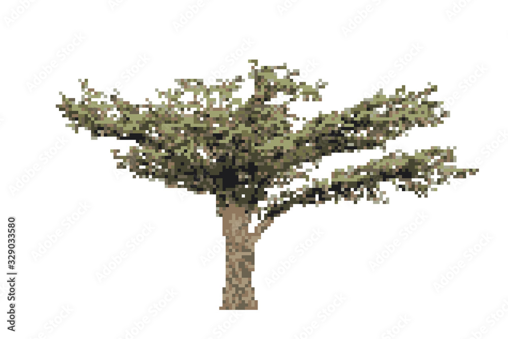 Pixelated Acacia tree. Pixel Art Vector illustration. Isolated on white background.