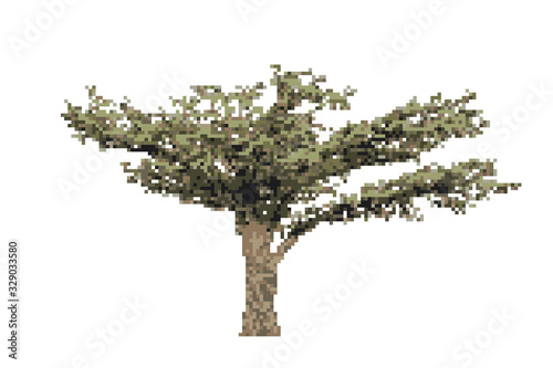 Pixelated Acacia tree. Pixe...