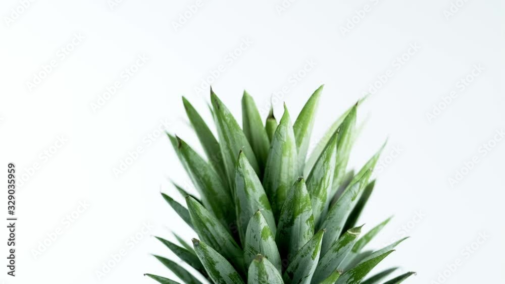 Rotating pineapple in circle, Pineapple spinning on a white background. 4K Rotating pineapple in circle, Pineapple spinning on a white background. 4K