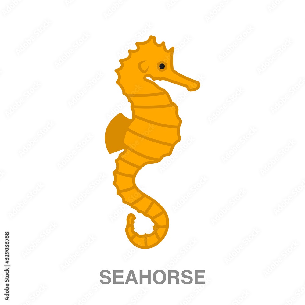 Fotografie seahorse flat icon on white transparent background