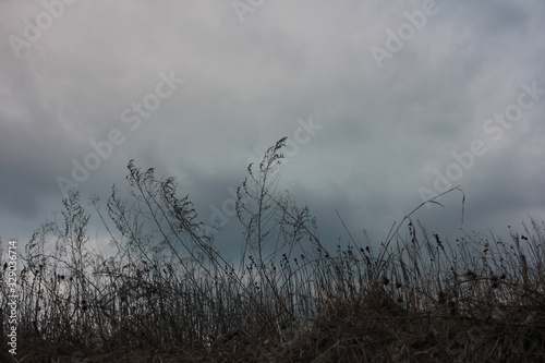 Spring landscape with grass silhouettes on stormy sky with heavy scenic clouds background