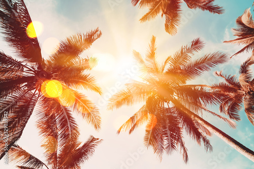 Copy space of tropical palm tree with sun light on sky background. © tonktiti