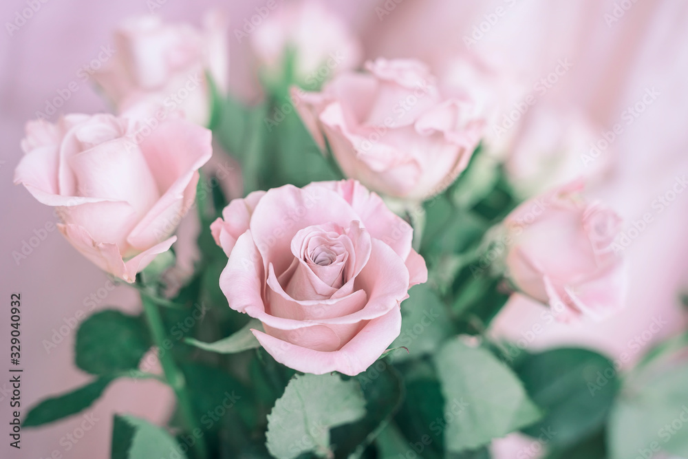 Bouquet of delicate romantic pink roses. Romantic Valentines, blooming roses, tender flowers. Spring holidays concept, festive events Bouquet of delicate romantic pink roses. Romantic Valentines, blooming roses, tender flowers. Spring holidays concept, festive events