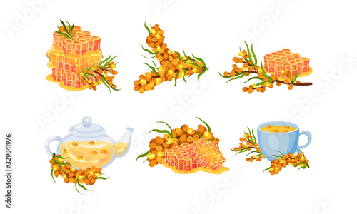 Sea Buckthorn Berries Rested in Basket and Arranged in a Wreath Vector Set