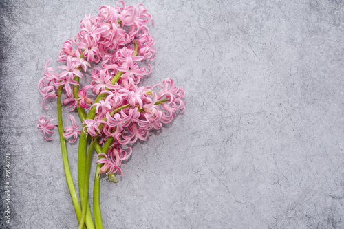 Fototapeta Naklejka Na Ścianę i Meble -  A bouquet of pink hyacinths lies on a gray surface. Woman`s Day or Mother`s Day gift.