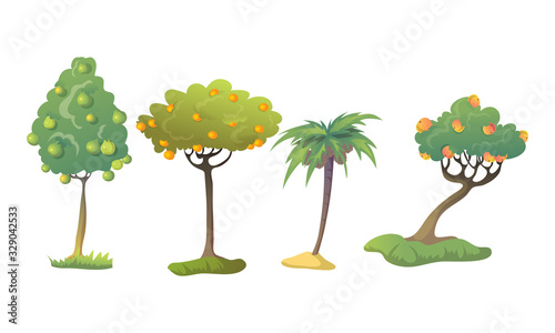 Different Fruit Trees with Thick Tree Crown and Fruits Vector Set