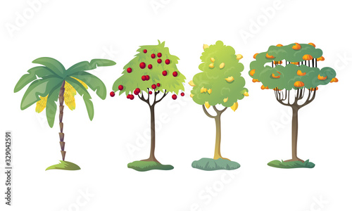 Different Fruit Trees with Thick Tree Crown and Fruits Vector Set