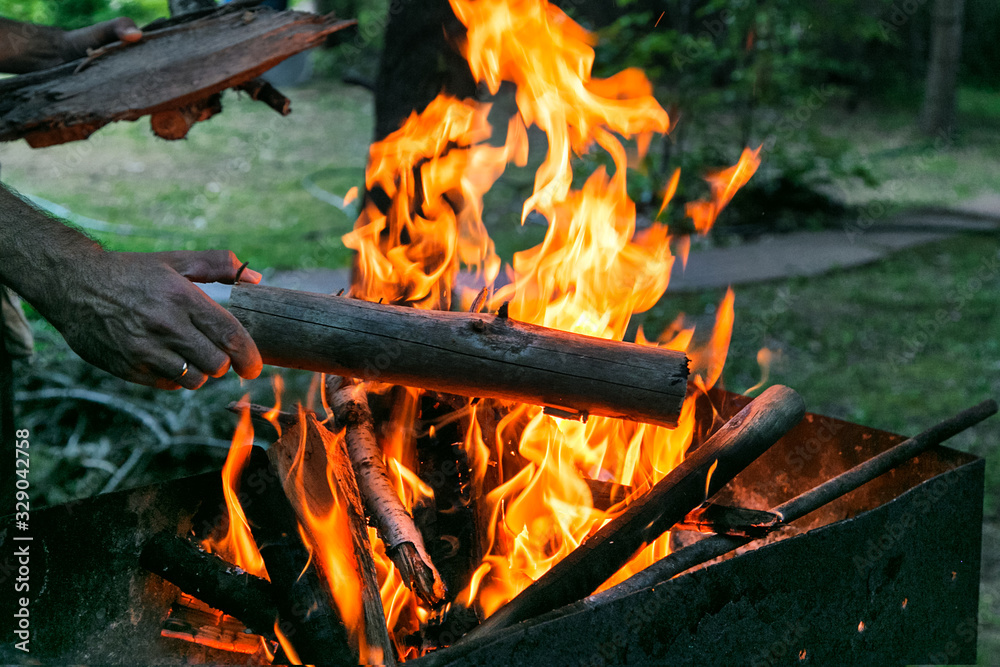 Flaming fire wood in the open fire. Man puts wood into barbeque grill fire outdoors. Male's hand with firewood.