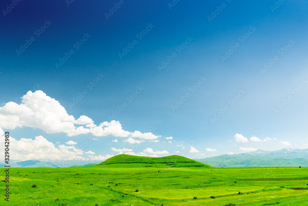 Summer field landscape and green hills covered with lush grass