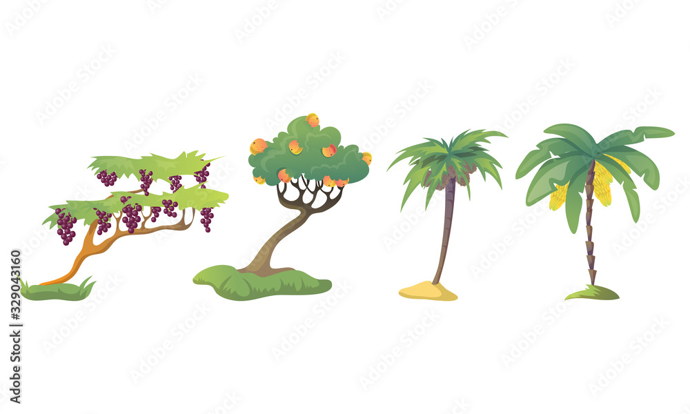 Fototapeta premium Different Fruit Trees with Thick Tree Crown and Fruits Vector Set