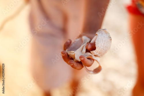 free child playing with shells on rock by sea