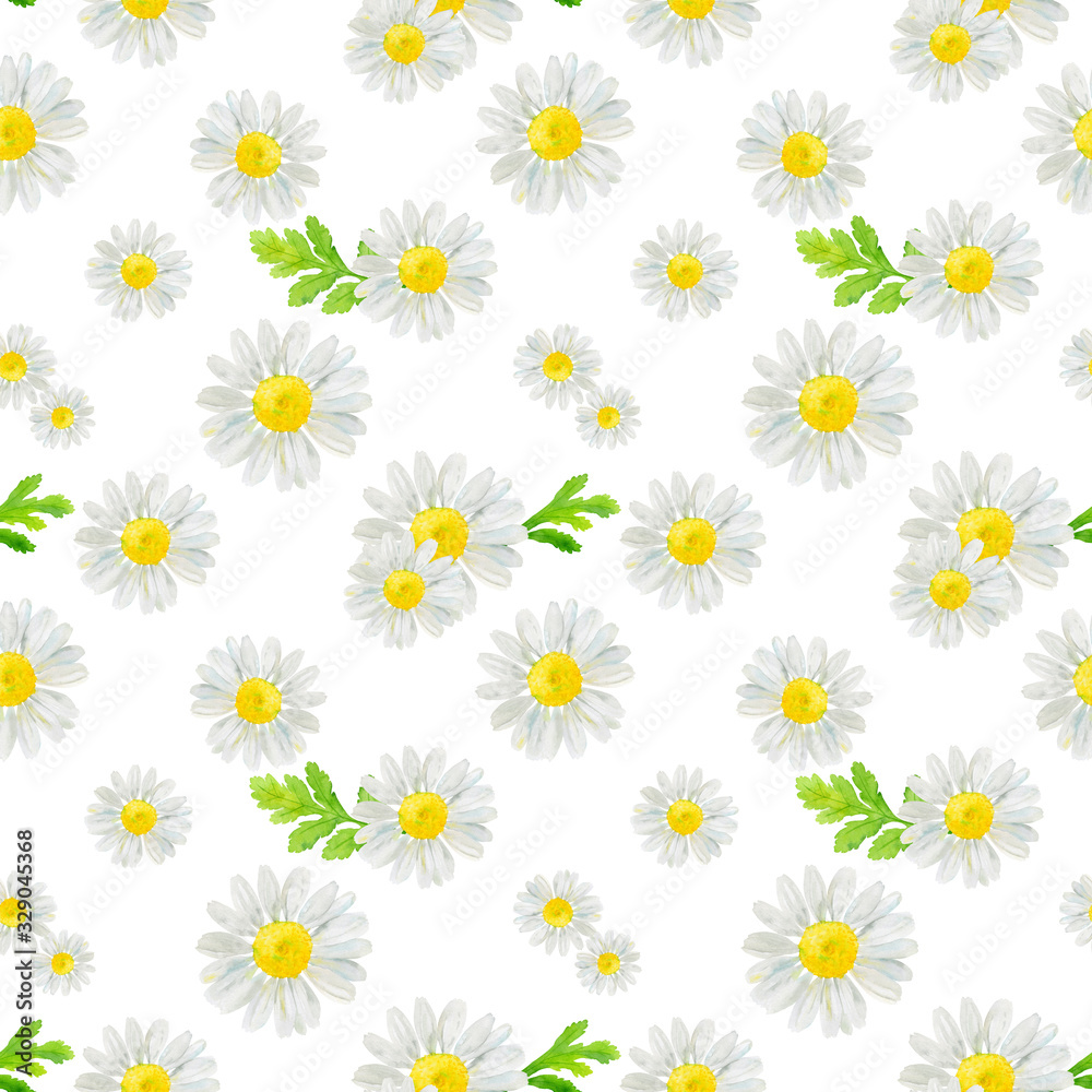 Watercolor hand drawn seamless pattern with wild meadow flower chamomile and leaves isolated on white background. Good for textile, wrapping paper, background, summer design etc.