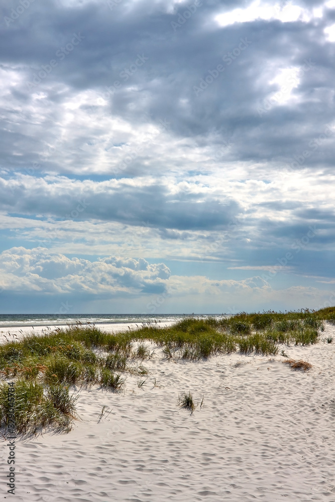 Naklejka premium Baltic Sea beach by the sand dunes in Dueodde, Bornholm island, Denmark,