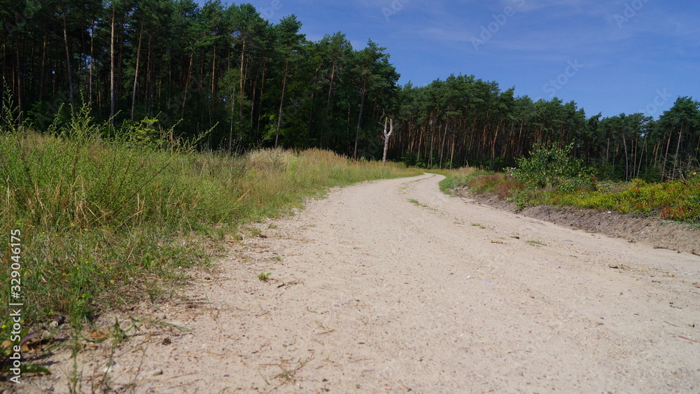 Fototapeta premium Natura
