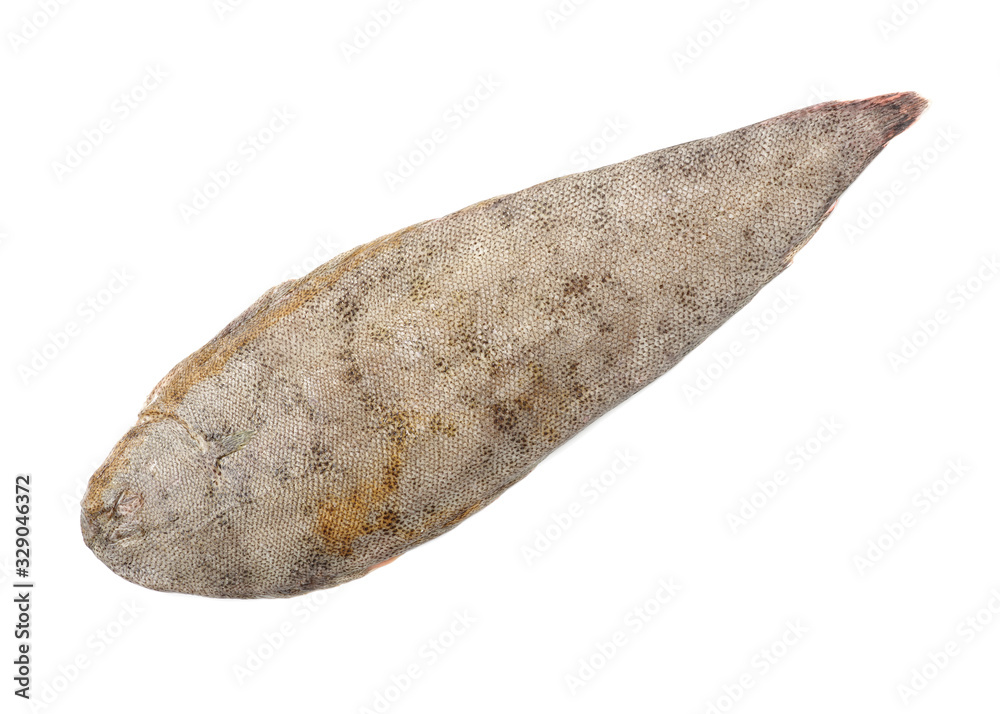Sole fish on white background