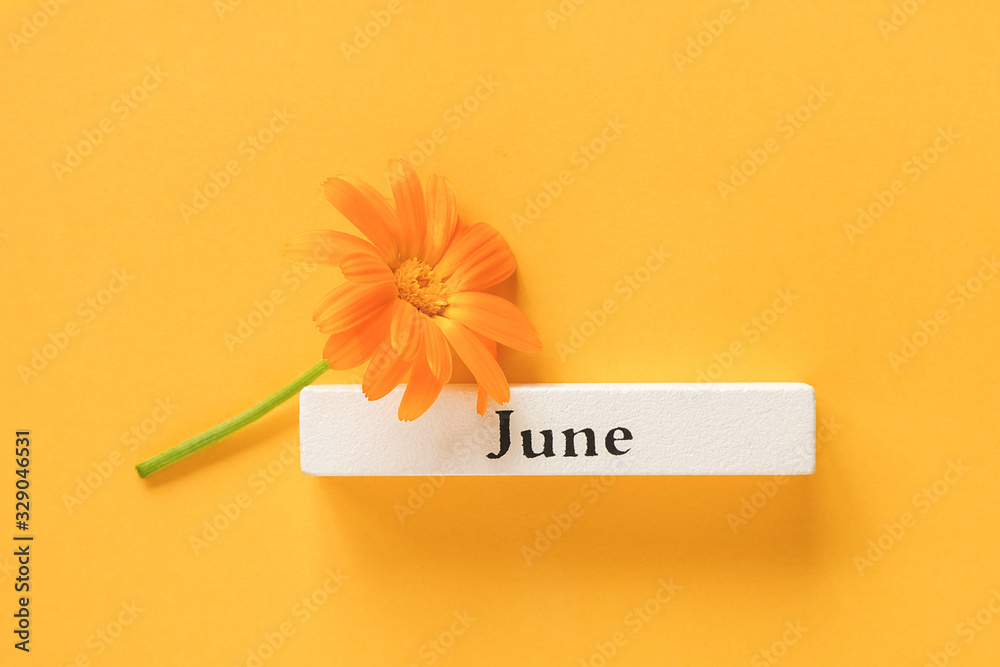One orange calendula flower and calendar summer month June on yellow background. Top view Copy space Flat lay Minimal style. Concept Hello June Template for your design, greeting card - obrazy, fototapety, plakaty 