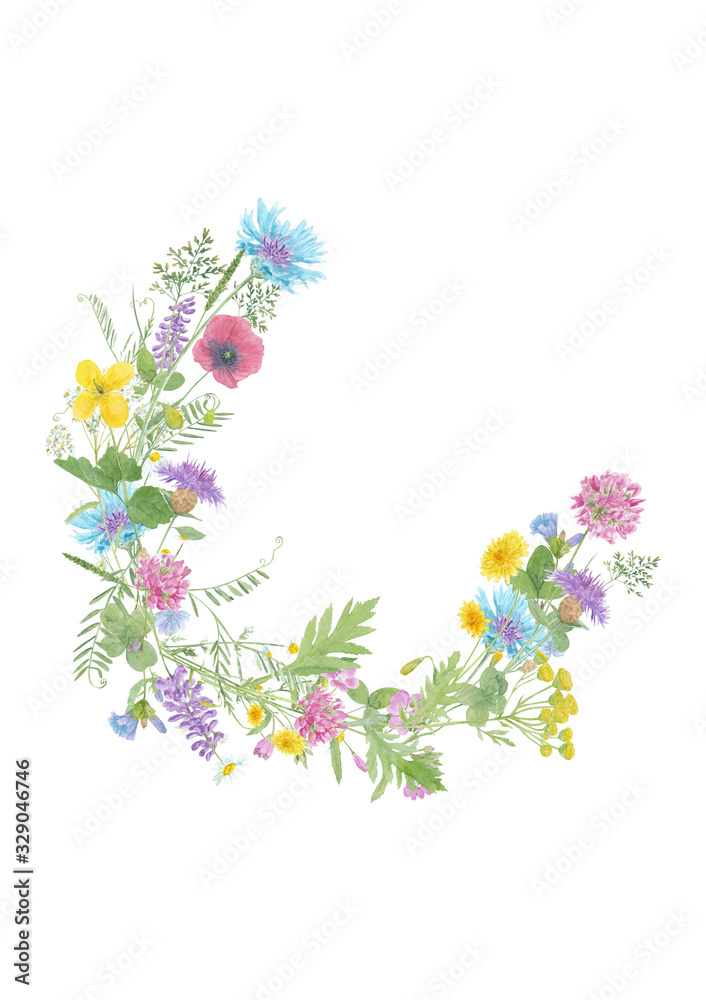 Watercolor hand drawn floral wreath with wild meadow flowers (clover, poppy, cornflower, tansy, chamomile, cow vetch) and grass isolated on white background