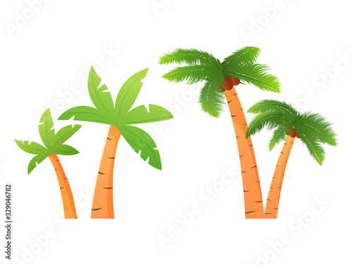 Set of palm trees with coconuts of tropical plants.Vector illustration.