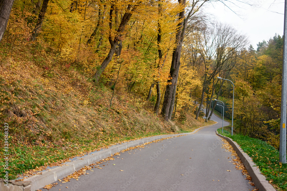 Downhill road in a forest. Autumnal landscape with yellow trees.