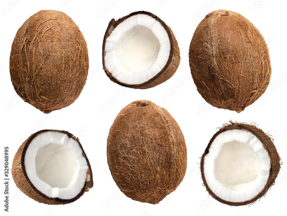 coconut isolated on the white background . coconut isolated on the white background .