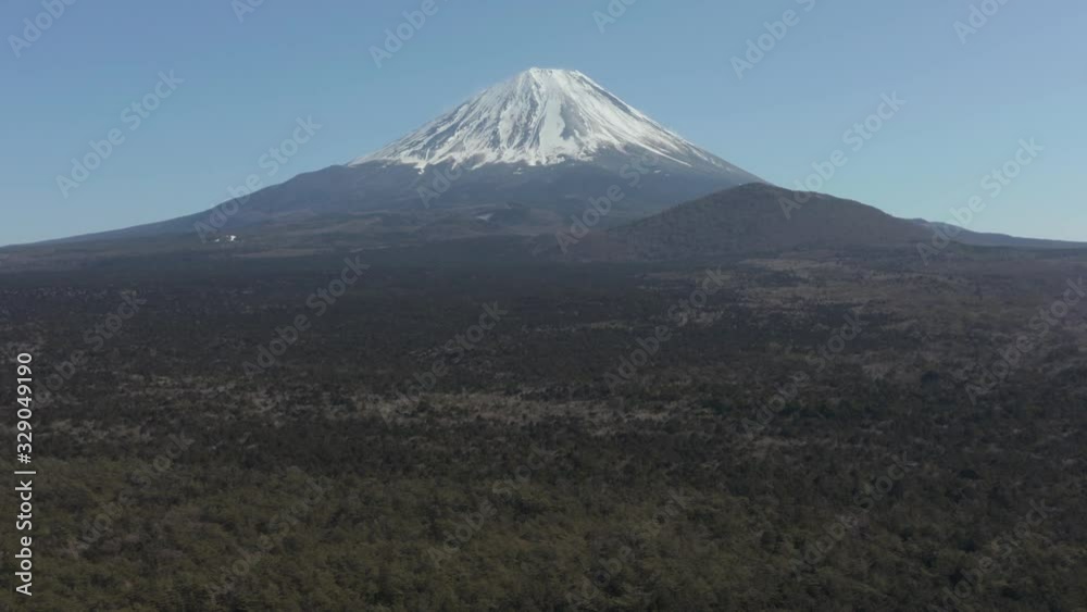 Mt Fuji tilt reveal shot from Aokigahara Forest, Natural Japan establishing shot Mt Fuji tilt reveal shot from Aokigahara Forest, Natural Japan establishing shot