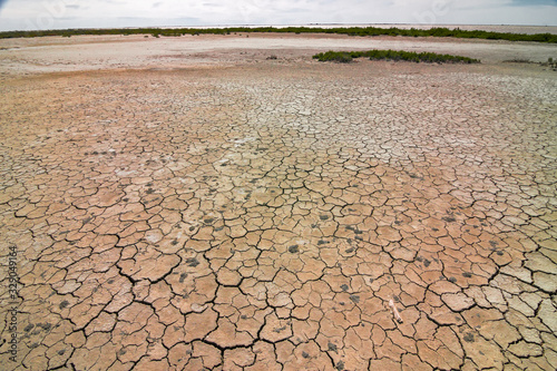 Panoramic view of the sunny, deserted and scratched scrubland of the Camargue during the dry season, in France.